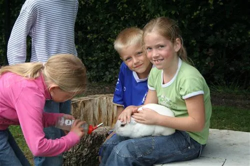 camping-weide-blik-helvoirt-uguhy