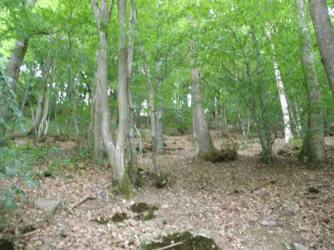 camping-pont-de-bergume-tenneville-av2lk