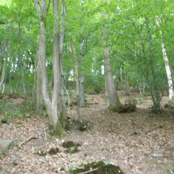 camping-pont-de-bergume-tenneville-av2lk