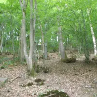 camping-pont-de-bergume-tenneville-av2lk