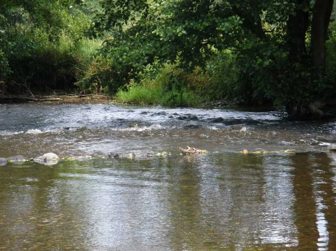 camping-pont-de-bergume-tenneville-mnazk
