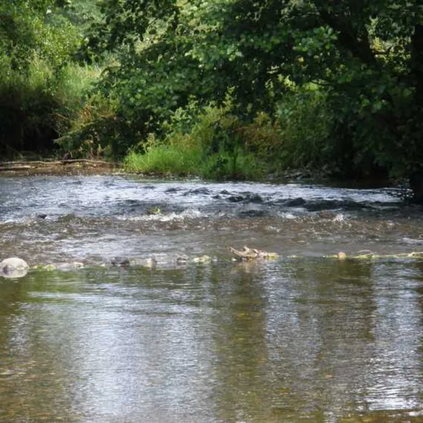 camping-pont-de-bergume-tenneville-mnazk