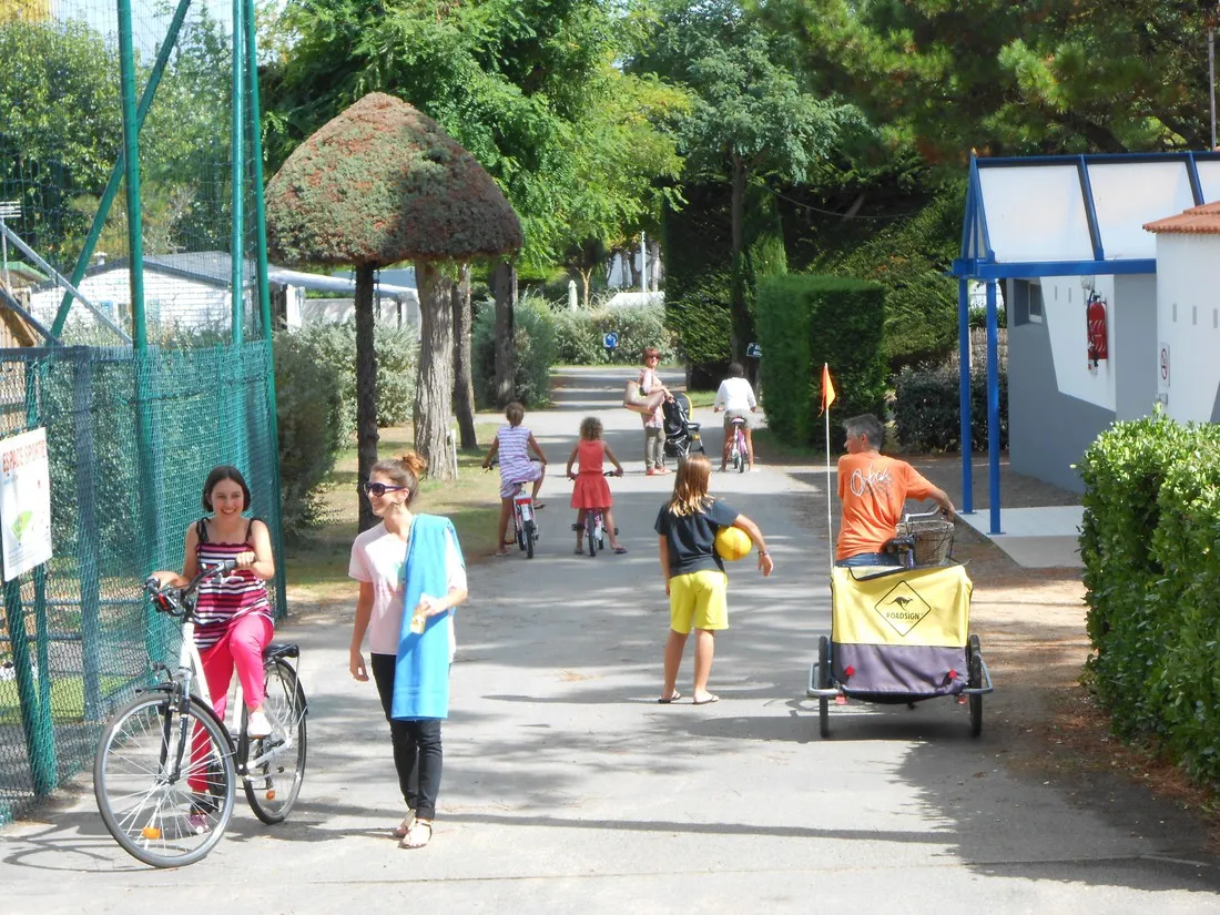 camping-les-pins-notre-dame-de-monts-fldl1