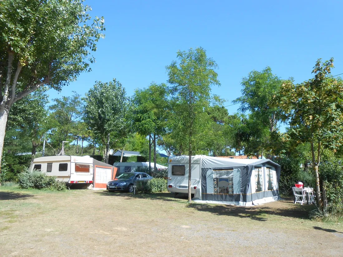 camping-les-pins-notre-dame-de-monts-wokos