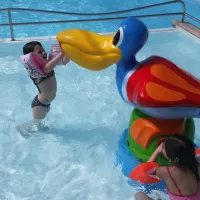 camping-les-pins-notre-dame-de-monts-wzktv