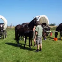 leeuwerikenveld-neerlinter-7dcj7
