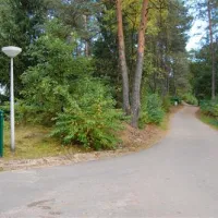 landal-coldenhove-eerbeek-hx4o5