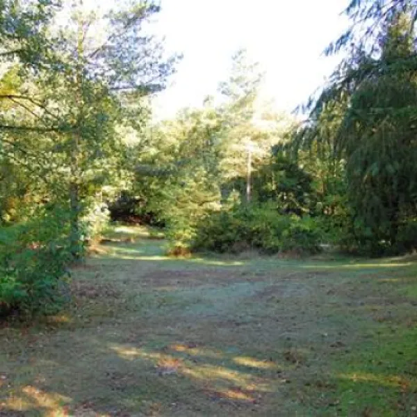 landal-coldenhove-eerbeek-qdfij