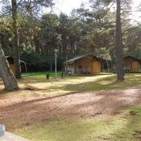 landal-coldenhove-eerbeek-swg00