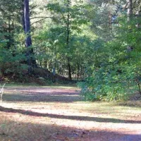 landal-coldenhove-eerbeek-ys8br