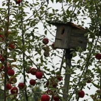karwice-camp-drawsko-pomorskie-qkamc