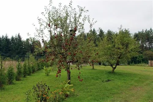 karwice-camp-drawsko-pomorskie-rhxoy