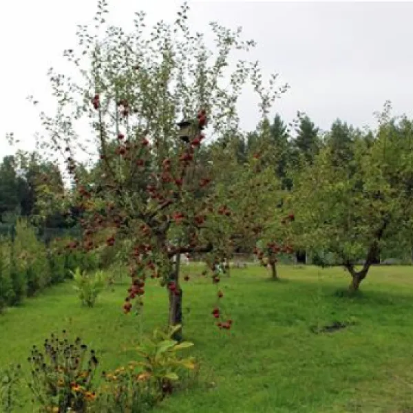 karwice-camp-drawsko-pomorskie-rhxoy
