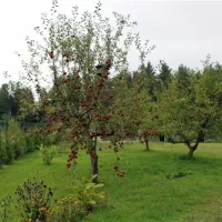 karwice-camp-drawsko-pomorskie-rhxoy
