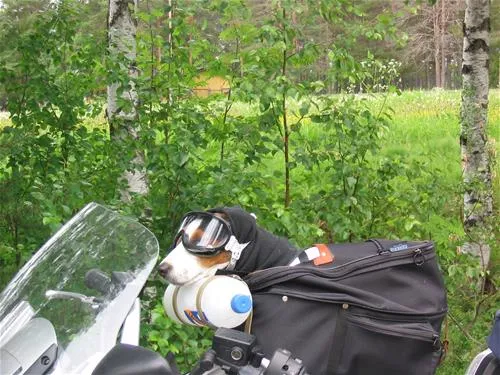 pajala-camping-pajala-ofxy3