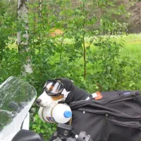pajala-camping-pajala-ofxy3