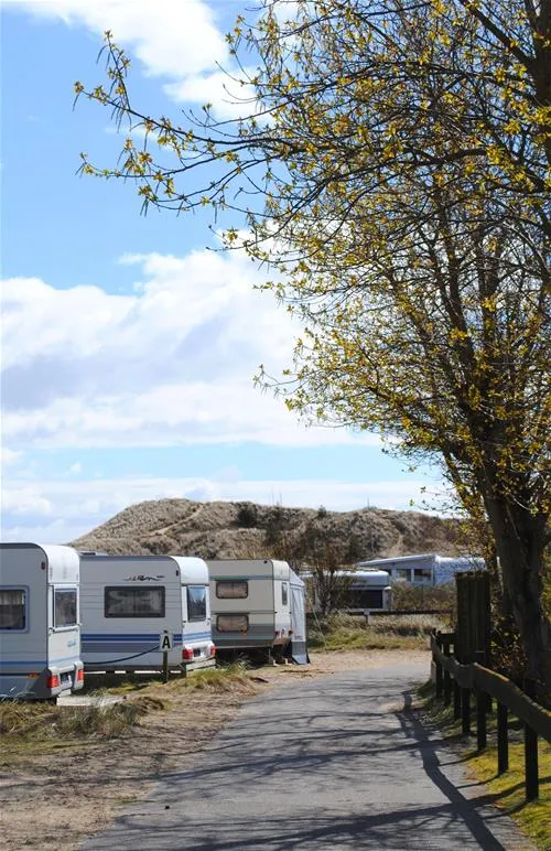 camping-amrum-wittdn-auf-amrum-lekca