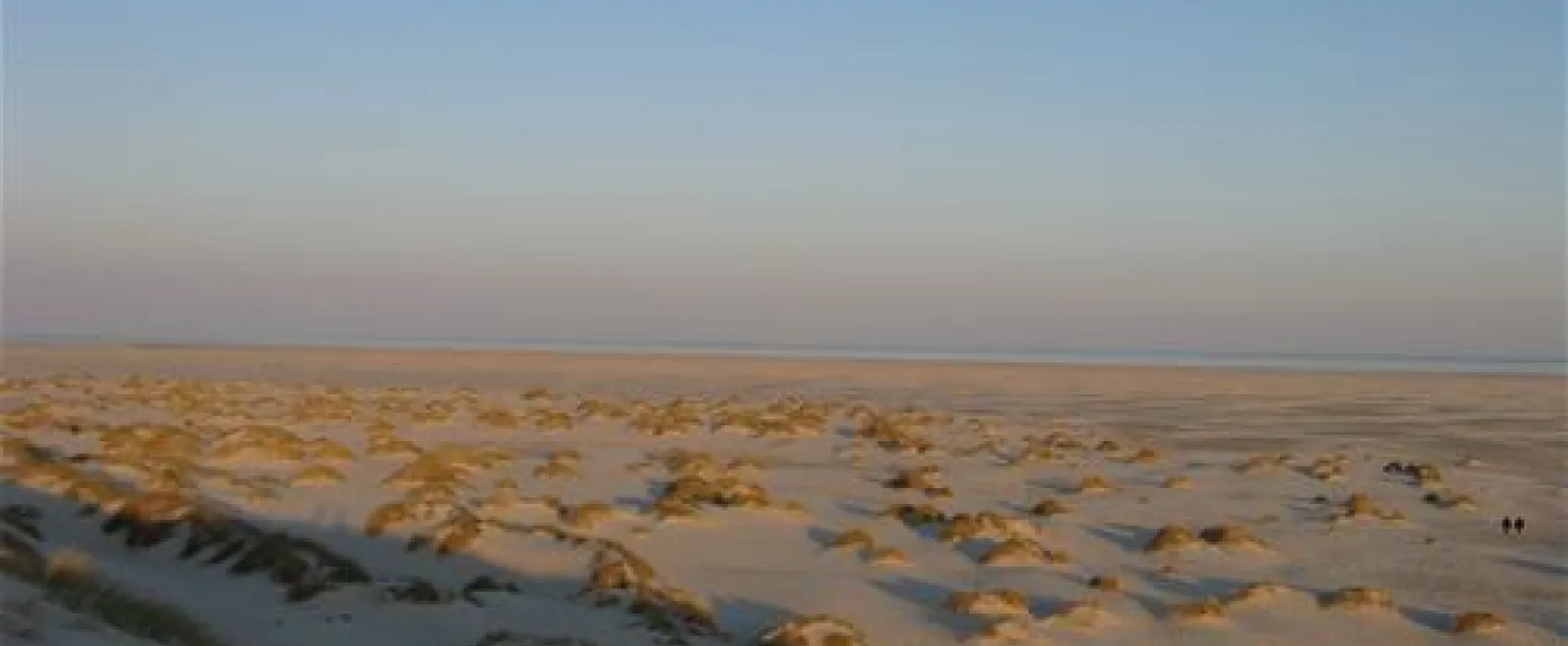 Camping Amrum