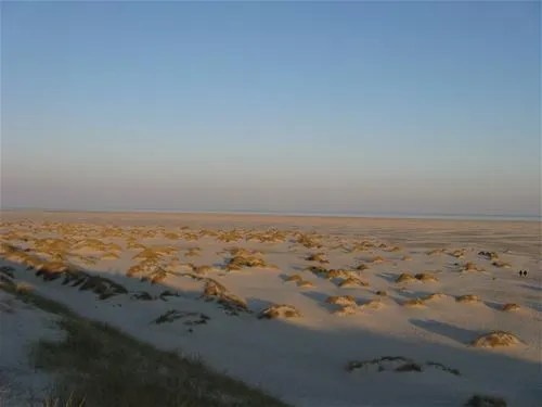 camping-amrum-wittdn-auf-amrum-wudha