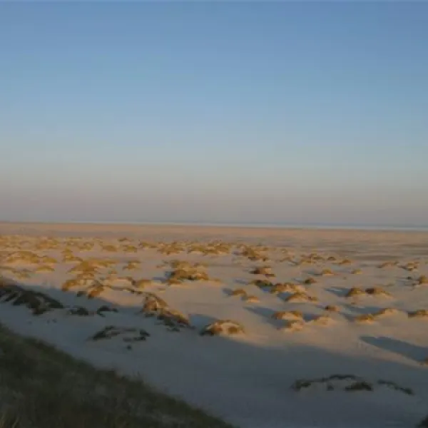 camping-amrum-wittdn-auf-amrum-wudha