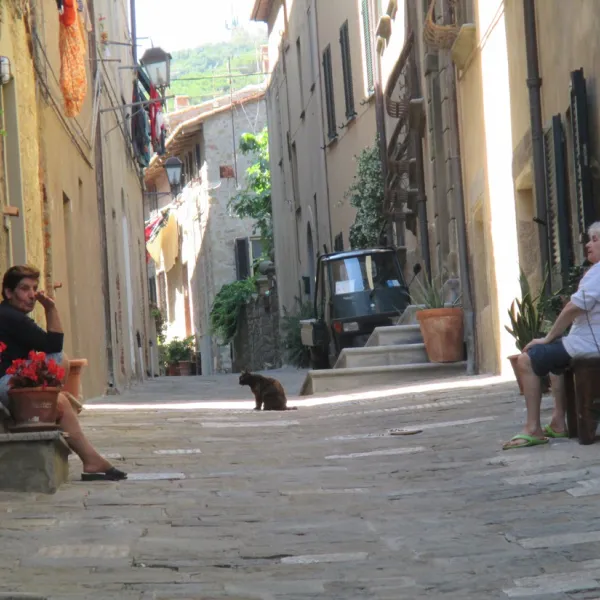campeggio-stella-del-mare-castiglione-della-pescaia-licsn