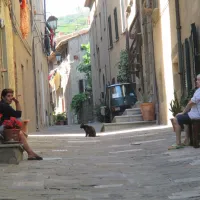 campeggio-stella-del-mare-castiglione-della-pescaia-licsn