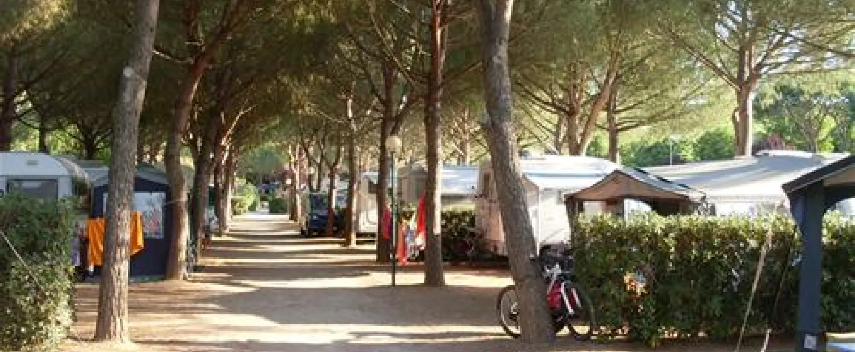 Campeggio Stella del mare