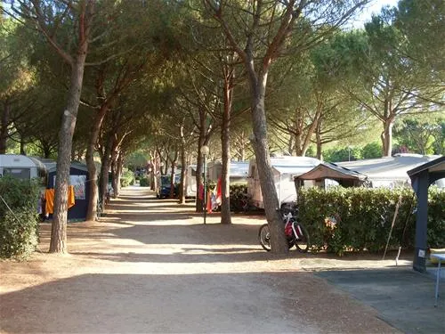 campeggio-stella-del-mare-castiglione-della-pescaia-xdbaa