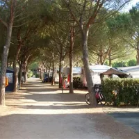 campeggio-stella-del-mare-castiglione-della-pescaia-xdbaa