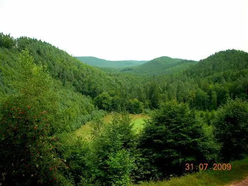 camping-municipal-ramstein-plage-baerenthal-p7qtq