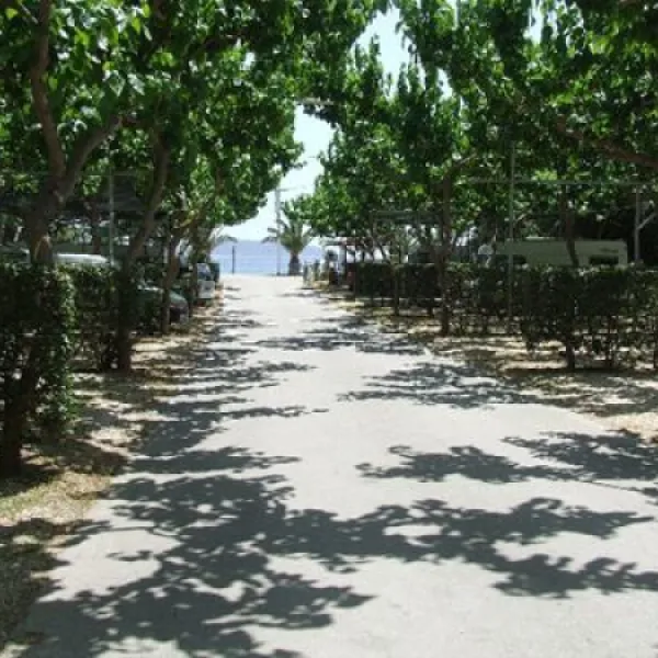 campsite-triton-ii-drepanonplaka-6ftcn