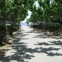campsite-triton-ii-drepanonplaka-6ftcn
