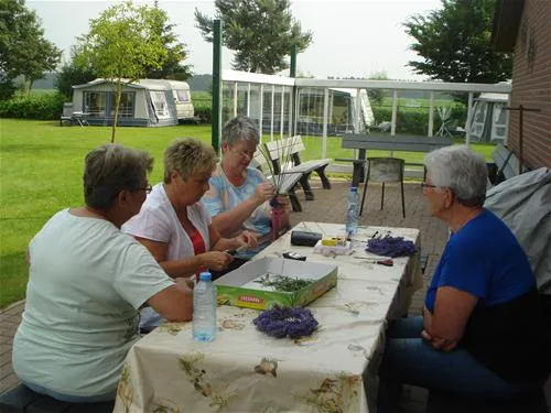 camping-rabbit-minicamping-someren--heide-1zbwm