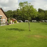 camping-rabbit-minicamping-someren--heide-5i8cf