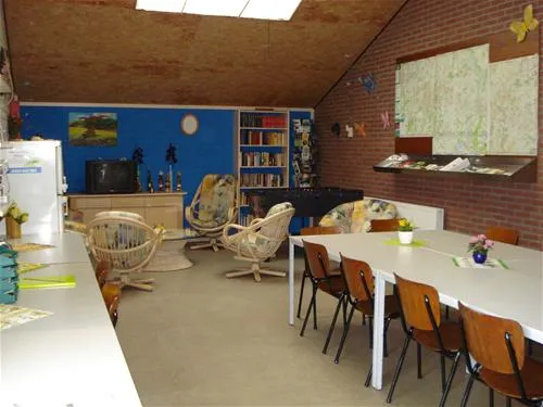 camping-rabbit-minicamping-someren--heide-e8ciu