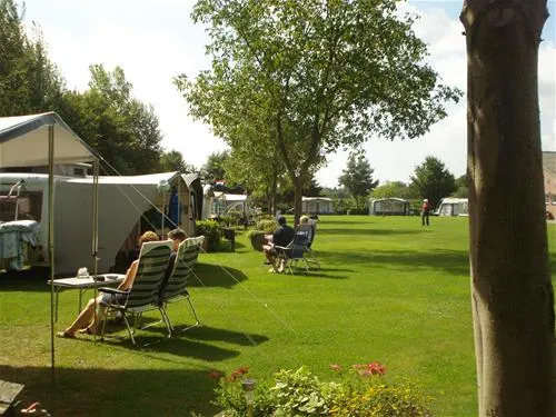 camping-rabbit-minicamping-someren--heide-elxe7
