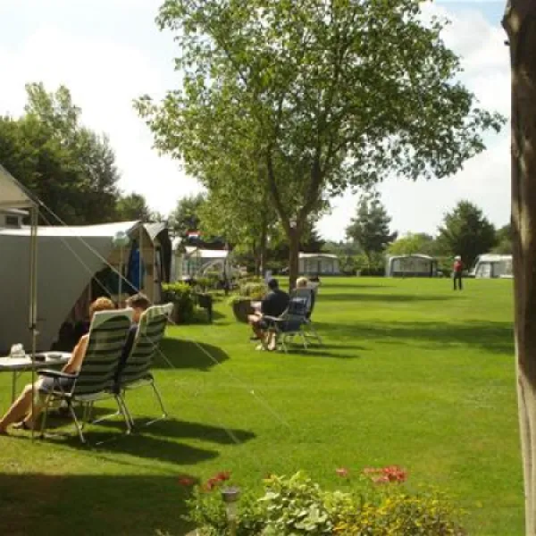 camping-rabbit-minicamping-someren--heide-elxe7