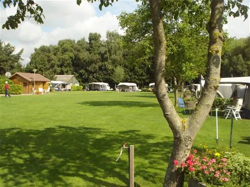 camping-rabbit-minicamping-someren--heide-fjgep