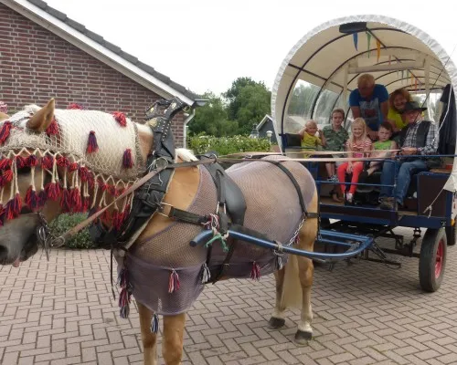 camping-rabbit-minicamping-someren--heide-njann