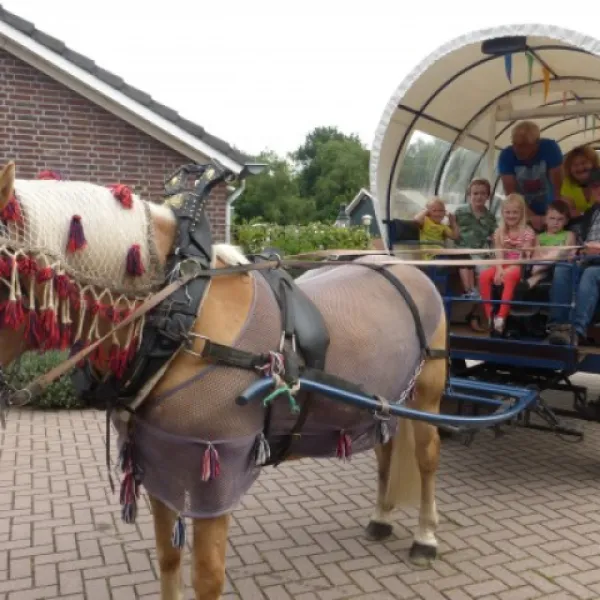 camping-rabbit-minicamping-someren--heide-njann