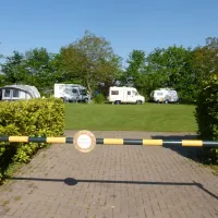 camping-rabbit-minicamping-someren--heide-ozuwq