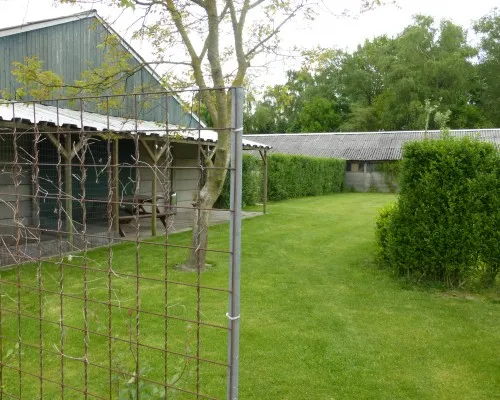 camping-rabbit-minicamping-someren--heide-piih4