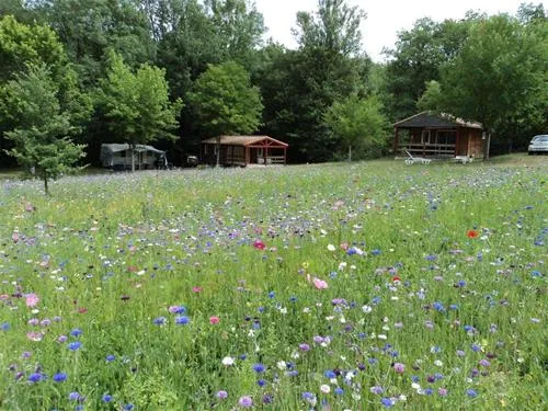 camping-naturiste-le-couderc-naussannes-b1gpa