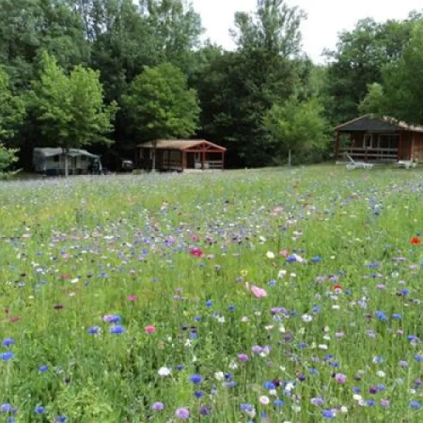 camping-naturiste-le-couderc-naussannes-b1gpa