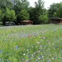 camping-naturiste-le-couderc-naussannes-b1gpa