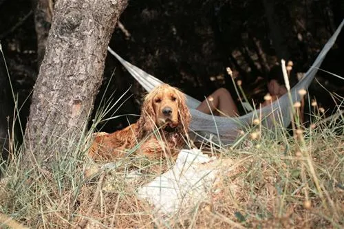 naturist-camp-bunculuka-baska-9m6mw