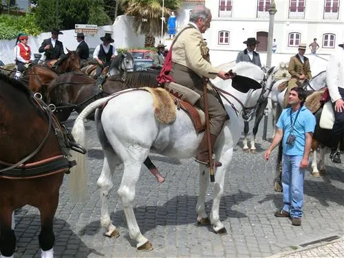 parque-municipal-de-campismo-da-goleg-goleg-61ua9