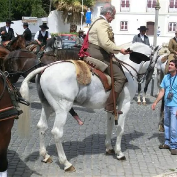 parque-municipal-de-campismo-da-goleg-goleg-61ua9