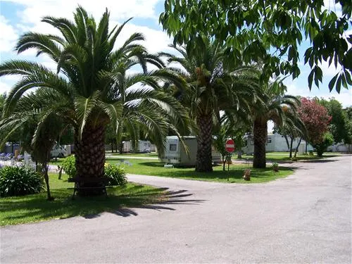 parque-municipal-de-campismo-da-goleg-goleg-gc4vm