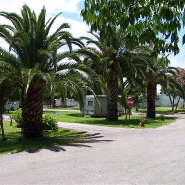 parque-municipal-de-campismo-da-goleg-goleg-gc4vm